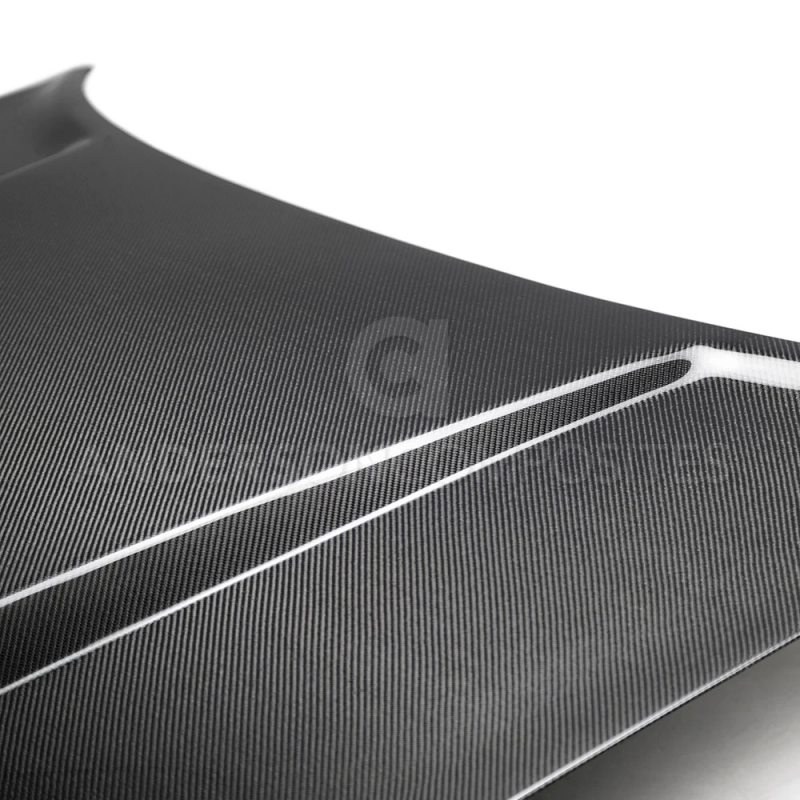 Anderson Composites Demon Carbon Fiber Hood: Dodge Charger 2015 - 2023 (All Models)